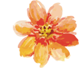 ページトップへ戻る